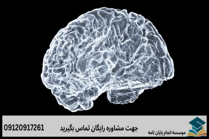هزینه و قیمت انجام پروپوزال رشته روانشناسی علوم شناختی — تصویر 2