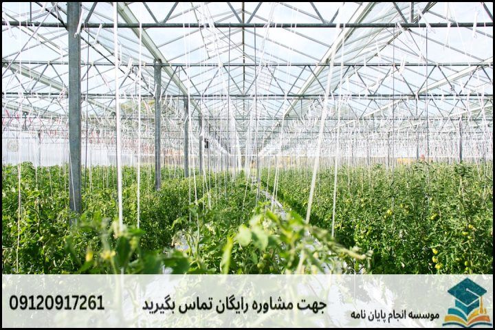هزینه و قیمت انجام پروپوزال رشته باغبانی گرایش سبزی ها