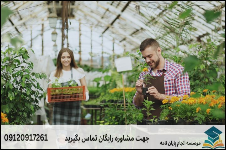 جدول برآورد هزینه و مشخصات فنی پروپوزال باغبانی (گیاهان زینتی)