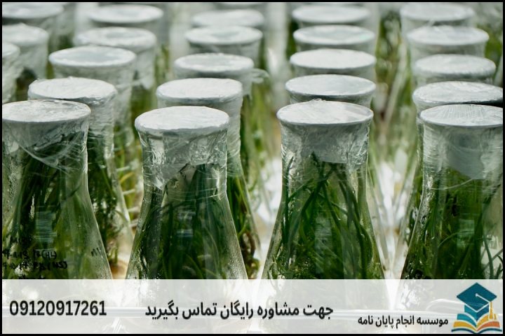 عوامل کلیدی تعیینکننده قیمت پروپوزال باغبانی (گیاهان دارویی)