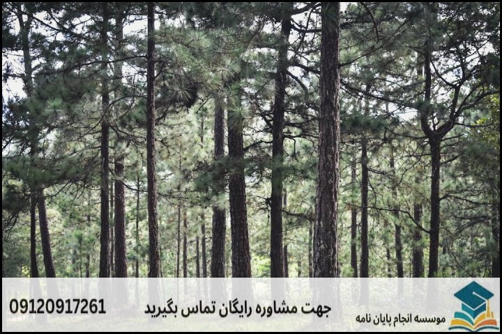 هزینه و قیمت انجام پروپوزال رشته مهندسی جنگل