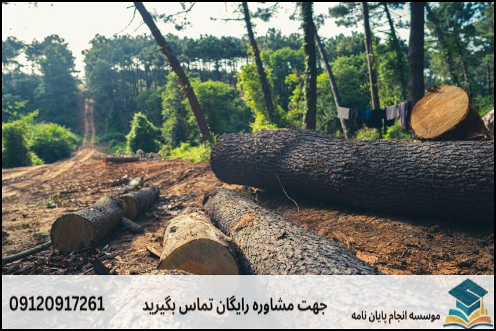 قیمت انجام پروپوزال مهندسی جنگل چقدر است و چگونه محاسبه میشود؟