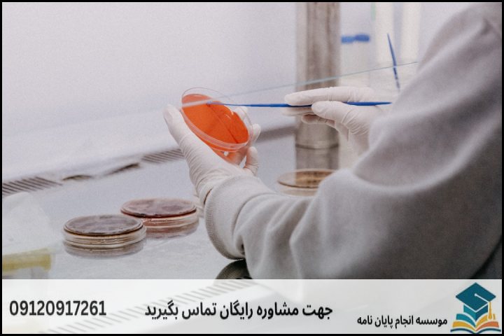 هزینه و قیمت انجام پروپوزال رشته علوم و مهندسی صنایع غذایی