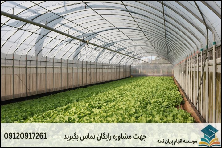 برآورد تقریبی هزینه انجام پروپوزال بر اساس نوع پژوهش