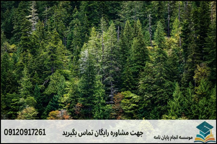 عوامل اصلی تعیینکننده هزینه پروپوزال مهندسی جنگل