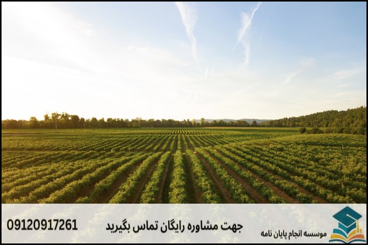 چه عواملی قیمت و هزینه انجام پروپوزال علوم و تکنولوژی بذر را تعیین میکنند؟