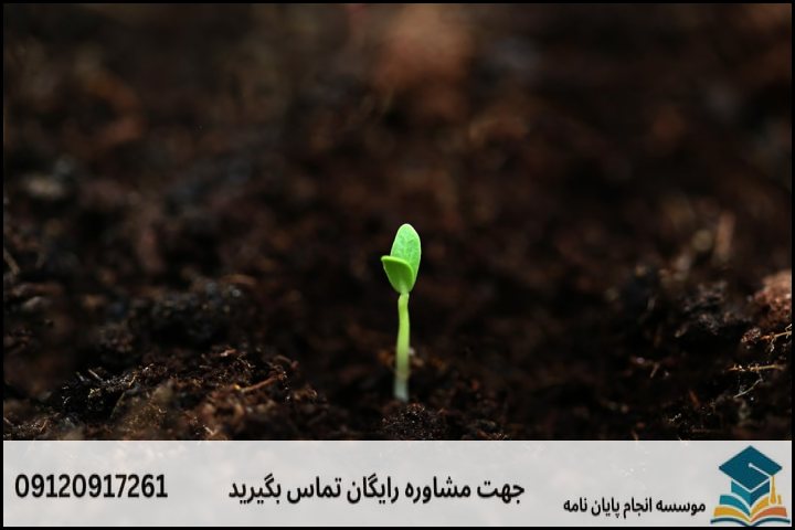 هزینه و قیمت انجام پروپوزال رشته علوم و تکنولوژی بذر